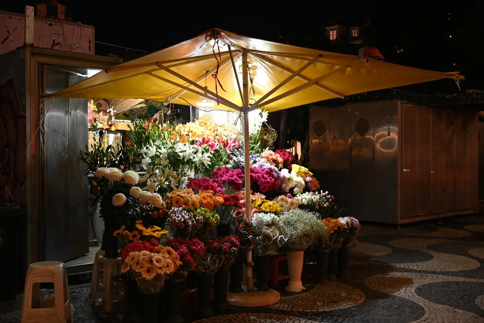 Luggage Storage - Chiado - image 6
