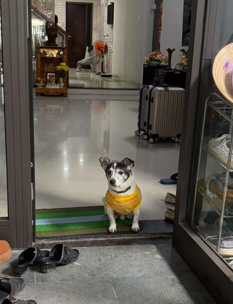 Danang Luggage Storage - image 6