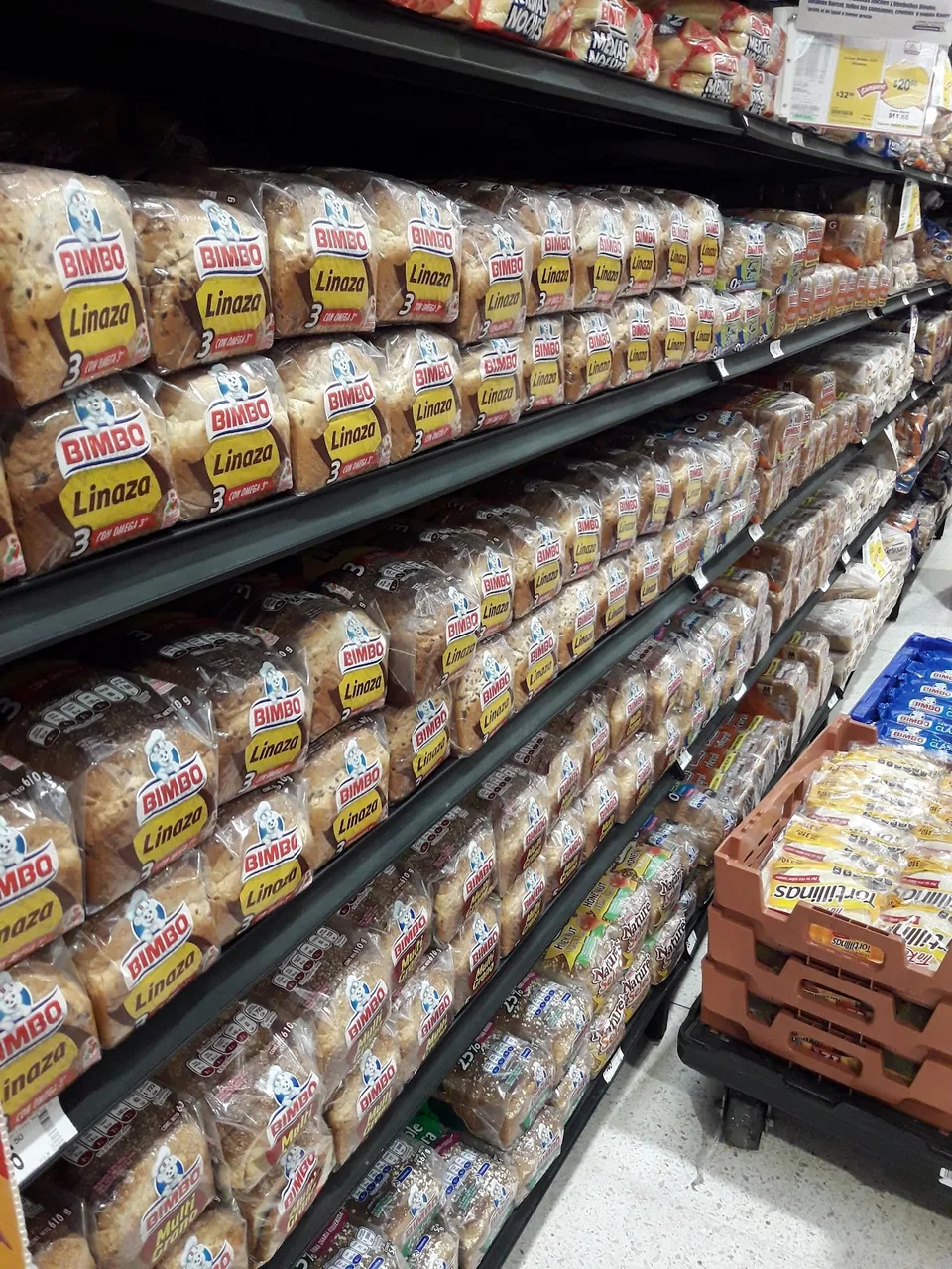 Bimbo Playa Del Carmen - image 7