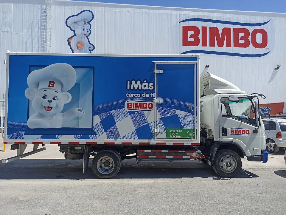 Bimbo Playa Del Carmen - image 8