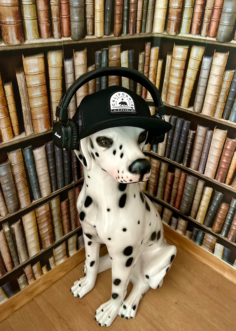 Control Space Storage Campo Ourique - Armazém Lisboa - image 7