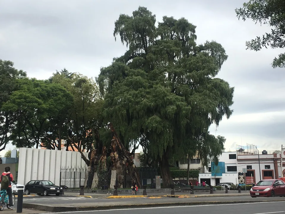 U-Storage México-Tacuba - image 8