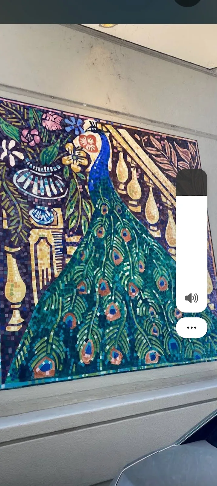 Riviera Maya Storage - image 4